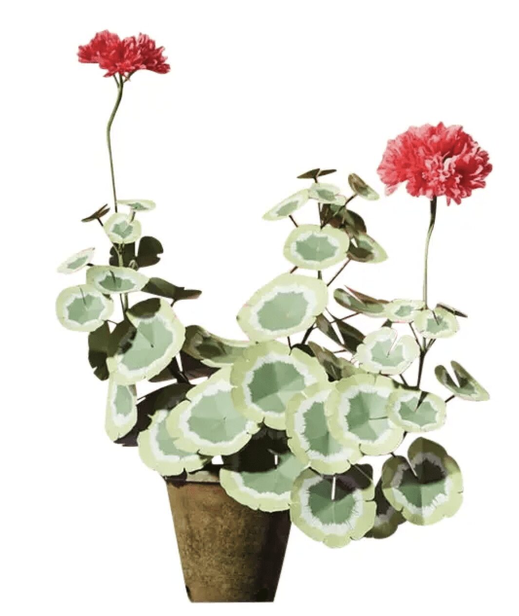 Paper Geranium Plant from The Green Vase