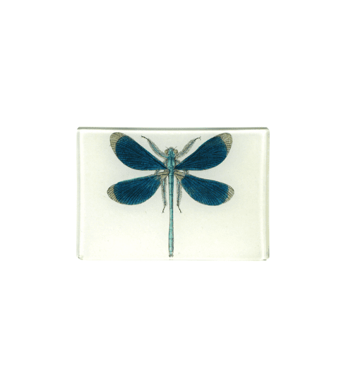 Blue Dragonfly Tray from John Derian