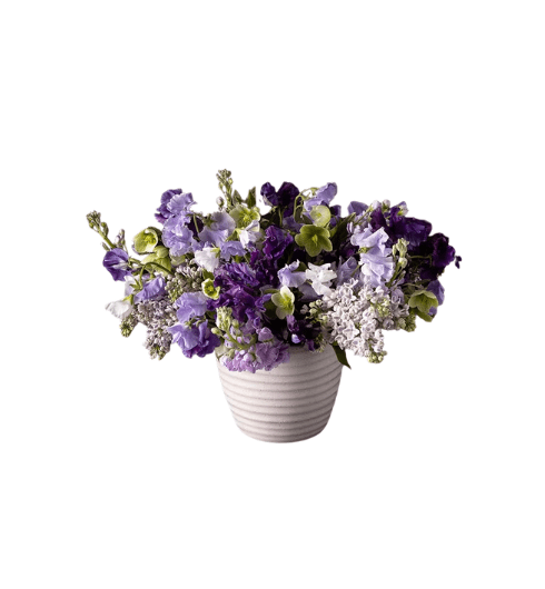 Lilac Flower Arrangement from Winston Flowers