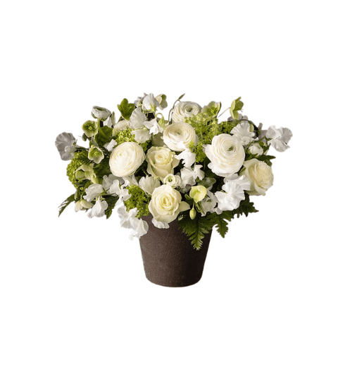 Purest Love Flower Arrangement from Winston Flowers